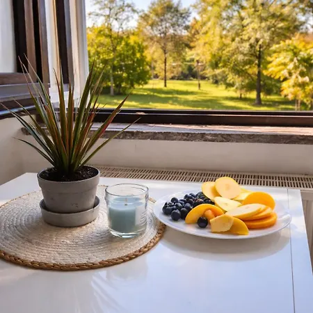 Laboheme Maggiore Retreat With Private * Dormelletto